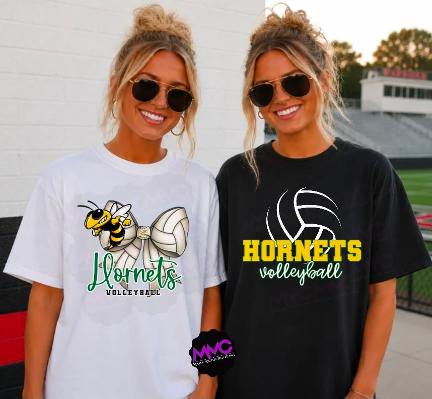 Volleyball any team/school