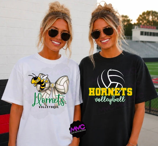 Volleyball any team/school