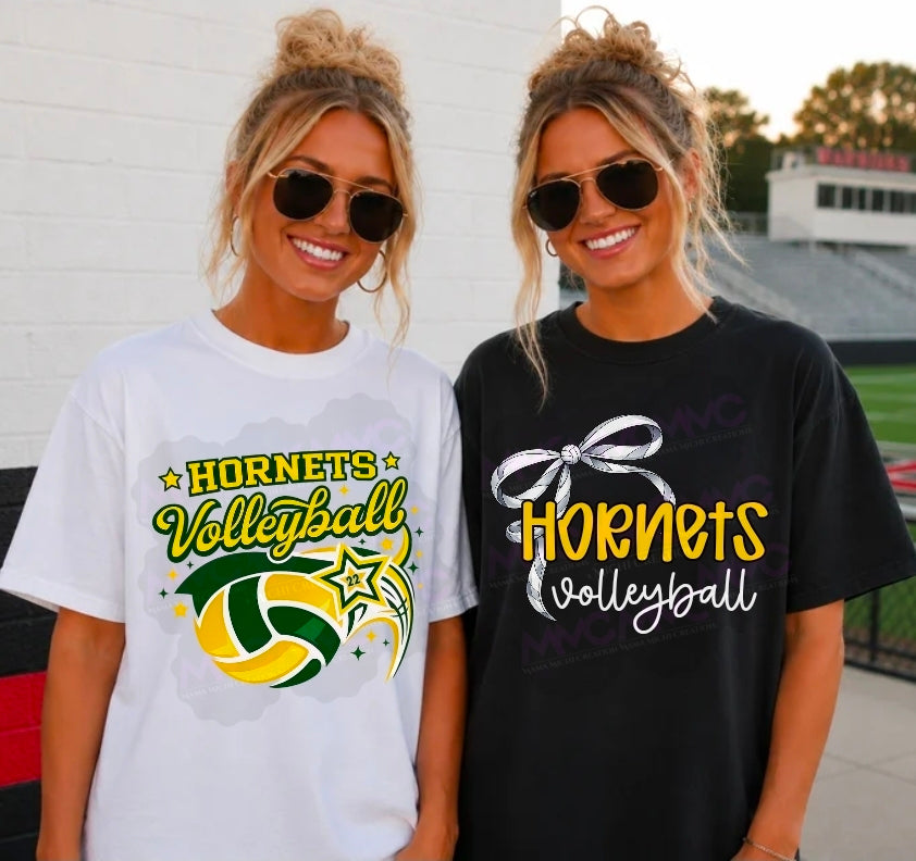 Volleyball any team/school